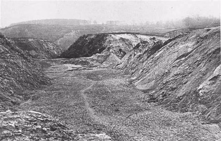 Bắt đầu từ ngày 29/9, 34.000 người Do Thái đã bị ép di chuyển thành từng nhóm nhỏ đến khe núi Babi Yar, nằm về phía Bắc của thành phố.