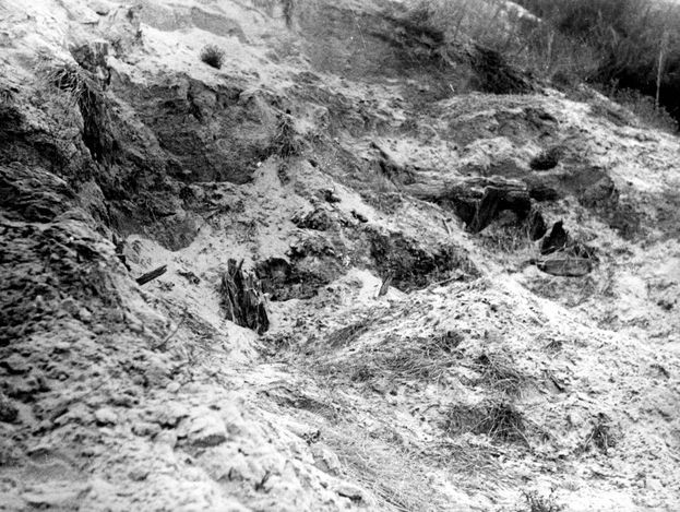 Khi rút quân khỏi Liên Xô, Đức Quốc xã đã cố gắng che giấu bằng chứng các cuộc tàn sát bằng cách khai quật các thi thể và đốt chúng trong những hố lớn.