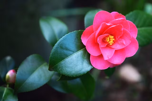 Nguoi sinh ngay Am lich nay biet cach vuot kho, thu hut quy nhan