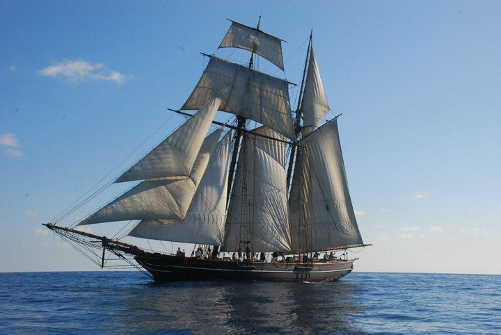 Trước đó, vào ngày 28/6/1839, 53 nô lệ vừa bị bắt ở châu Phi đã rời Havana trên tàu Amistad để đến đồn điền mía đường tại Puerto Principe, Cuba, khi đó là thuộc địa của Tây Ban Nha.