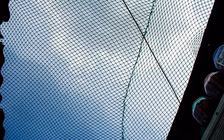 Nhiều hộ gia đình phải trang bị lưới bảo vệ nhằm tránh những quả banh rớt trúng đầu.