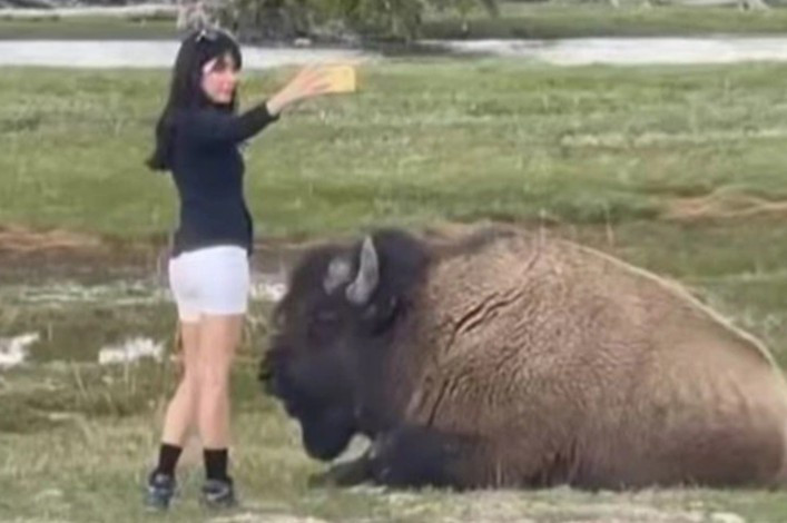 Nu du khach coi thuong su an toan khi co selfie voi bo rung