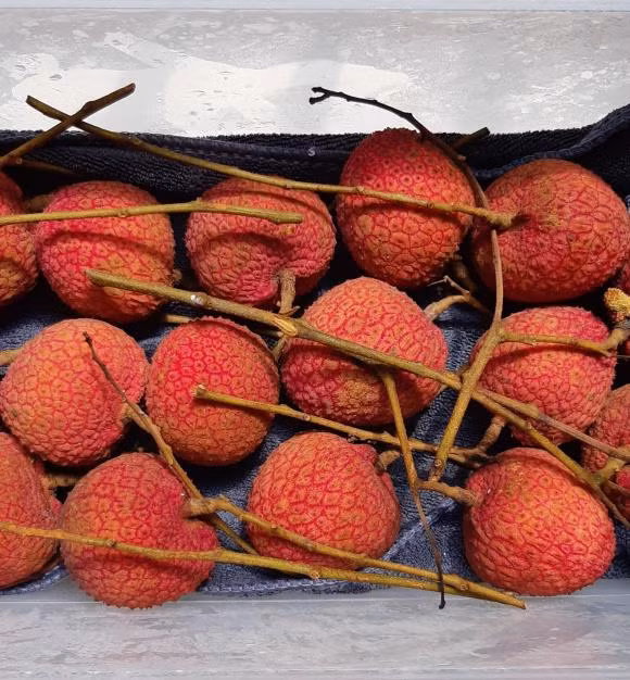 Vai dang vao mua, chi ban meo bao quan tuoi lau-Hinh-3