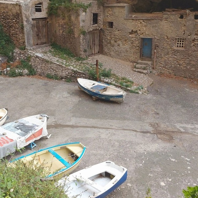 Hon dao khien vua nhin da lien tuong den loai vat de thuong-Hinh-6