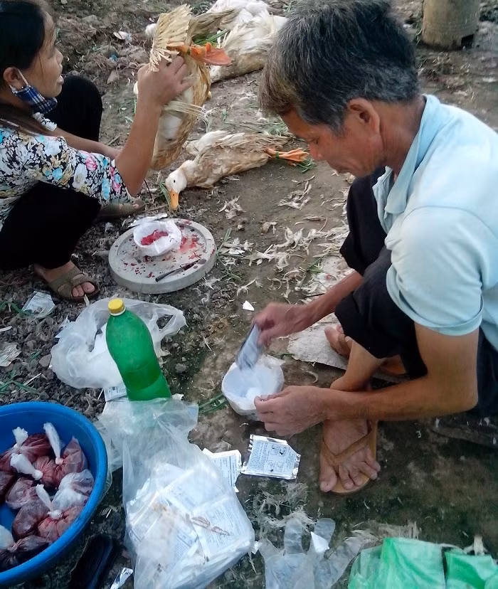 Vấn đề an toàn vệ sinh thực phẩm từ lâu đã được các cơ quan chức năng liên tục cảnh báo. Tuy nhiên, rất nhiều hộ kinh doanh vẫn ngang nhiên vi phạm nghiêm trọng vấn đề này. Mới đây nhất là hình ảnh Kiến Thức ghi lại được tại một điểm chuyên giết mổ vịt, tại khu vực gần đường Đại lộ Thăng Long.