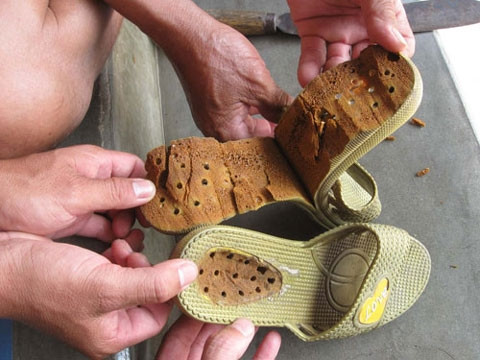 Trước đó, tại tỉnh Phú Yên cũng xuất hiện tin đồn dép có chứa chất lạ, nhưng khi kiểm tra thì không có chất gì bất thường