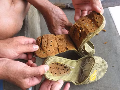 Trước đó, tại tỉnh Phú Yên cũng xuất hiện tin đồn dép có chứa chất lạ, nhưng khi kiểm tra thì không có chất gì bất thường