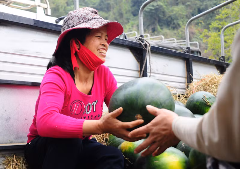 Một số mặt hàng không bán kịp thời sẽ ảnh hưởng đến chất lượng vì thế các mặt hàng được xuất ngược lại bán về vùng xuôi.