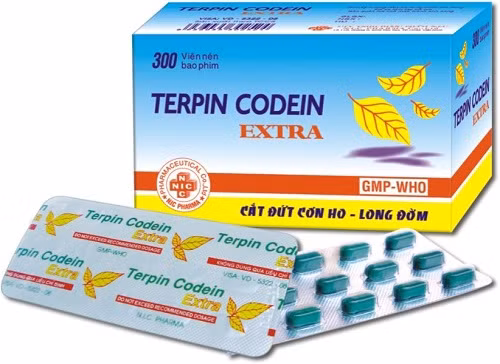 Dịp Tết, khí hậu thường lạnh và ẩm ướt, lại hay thay đổi đột ngột nên làm rối loạn khả năng chống đỡ với bệnh tật, nhất là ở trẻ em và người cao tuổi. Các triệu chứng như ngạt mũi, ho dễ xảy ra. Một số thuốc thường dùng để giảm ho như terpin, codein… Ngoài ra, cũng nên chuẩn bị ít thuốc nhỏ mũi như nước muối sinh lý 0,9% và thuốc nhỏ mũi loại co mạch như sulfarin (chống ngạt mũi).