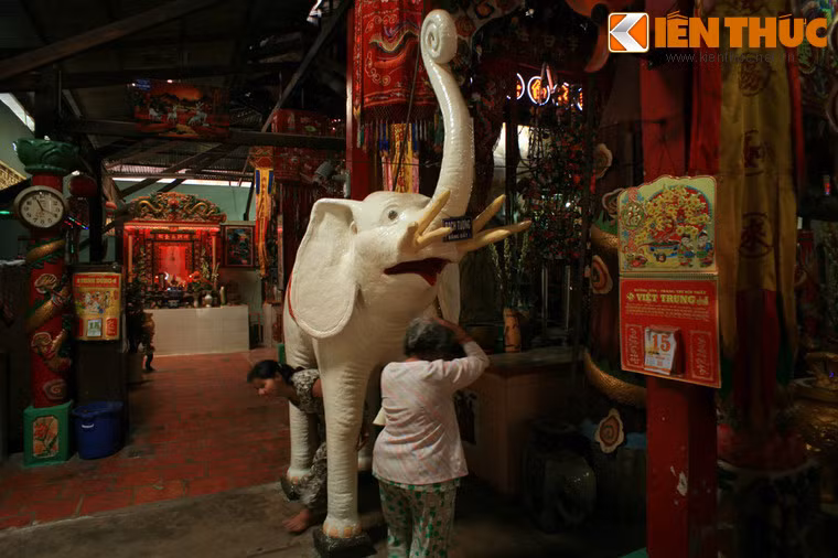 Tác giả của chúng là nghệ nhân - cư sĩ Ngô Kim Tòng, Ông đã làm ra các bức tượng trong suốt 42 năm (từ 1928 đến 1970) để thờ và trang trí, bằng sự đam mê và trí tưởng tượng chứ không qua bất cứ trường lớp nào.