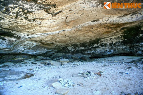 So với nhiều hang động nổi tiếng khác của Việt Nam, lòng hang Câu không sâu và cũng không có thạch nhũ...