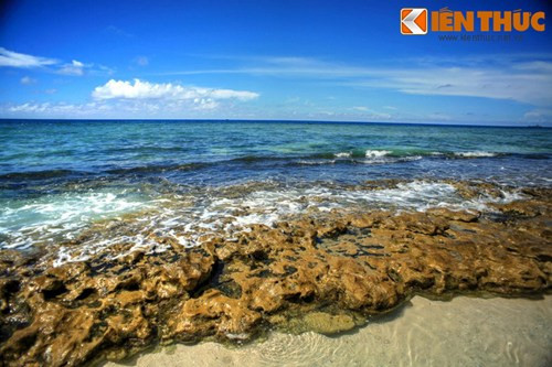 Khu vực bờ biển trước hang có những bãi đá muôn hình vạn trạng, là nơi sinh sống của nhiều loài sinh vật biển.