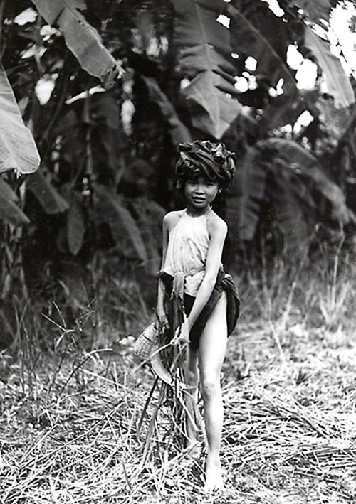 Bé gái mót lúa trên một cánh đồng vừa gặt.