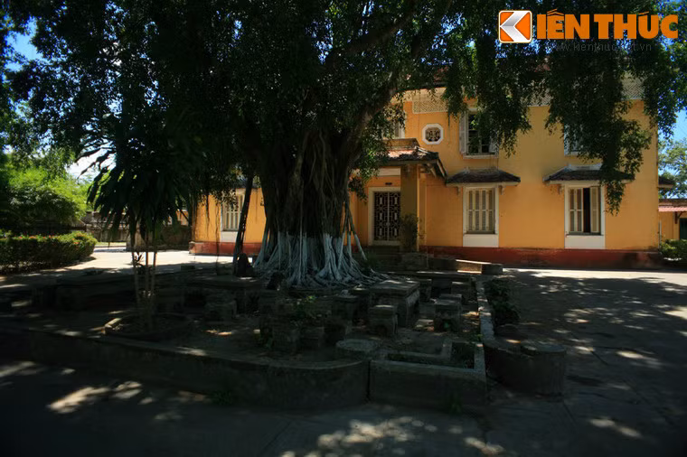 Tòa dinh thự nằm trong khuôn viên rộng rãi với nhiều cây xanh.