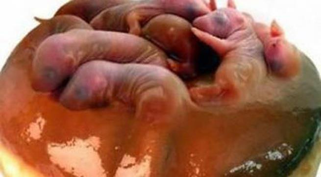 Trong số 140 món ăn tiêu biểu của bữa tiệc này, nổi tiếng nhất là các món chuột sâm, não hầu (óc khỉ), tượng tinh (tinh khí của voi), cỏ Phương Chi - loại chỉ mọc duy nhất một lần trong năm trên phiến đá ở ngọn núi Thái Hàng, trứng công…