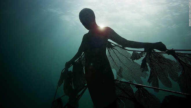 Cảm giác không trọng lượng khi ở dưới nước cho phép du khách có thể thỏa sức ngắm vẻ đẹp của bảo tàng ở nhiều vị trí.