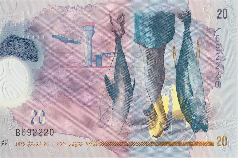  Rufiyaa của Maldives: Rất nhiều ý tưởng được đưa vào thiết kế loạt tiền giấy thứ 3 của Maldives, được gọi là Ran Dhihafaheh Note Series, ra mắt vào năm 2015 nhân kỷ niệm vàng nền độc lập Maldives. Có chủ đề "Maldives và người dân Maldives", loạt tiền này là tiền tệ mới được giới thiệu sau 33 năm của quốc gia Nam Á này. Mỗi tờ tiền có hình ảnh minh họa khác nhau mô tả vẻ đẹp tự nhiên, văn hóa, truyền thống của đất nước và các nghề thủ công như đánh bắt cá.