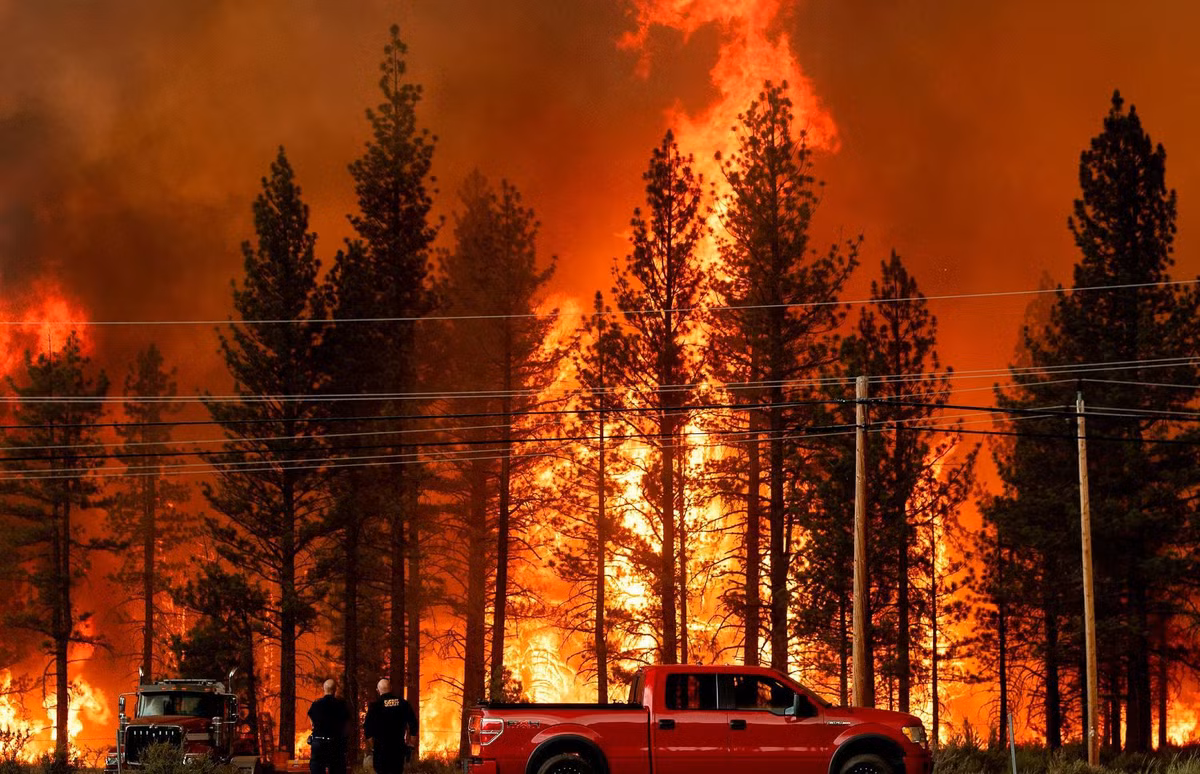  Cháy rừng ở Hog, California, Mỹ: Bức ảnh này chụp cảnh cháy rừng quét qua Susanville ở California vào ngày 20/7. Ngọn lửa bùng phát không rõ nguyên nhân đã thiêu rụi hơn 32 km2 và lớn tới mức tạo ra những cơn giông, sấm chớp. Một trận mưa đá lớn đã giúp dập tắt đám cháy 2 ngày sau đó.