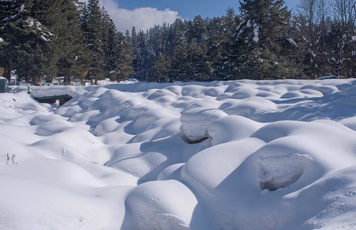  Tuyết rơi ở Kashmir, Ấn Độ: Kashmir trải qua trận tuyết rơi dày nhất được ghi nhận trong 40 năm. Đường xá bị phong tỏa, xe cộ mắc kẹt và đường điện hư hỏng do tuyết bao phủ. Các trận tuyết lở phá hủy những ngôi nhà và giết chết hàng chục người. Hình ảnh ghi lại một con suối được bao phủ bởi tuyết ở Pahalgam, phía bắc Srinagar, thủ phủ mùa hè của Kashmir.