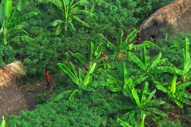 Người lạ không thể tiếp cận những thổ dân Sentinel. Trong năm 2006, thổ dân sát hại 2 ngư dân dạt lên đảo. Trận sóng thần lịch sử ngày 26/12/2004 không thể hủy diệt họ. Ba ngày sau, họ bắn tên và ném đá về phía trực thăng của chính phủ Ấn Độ. Khi nhóm trực thăng tới đảo để khảo sát tác động của sóng thần.