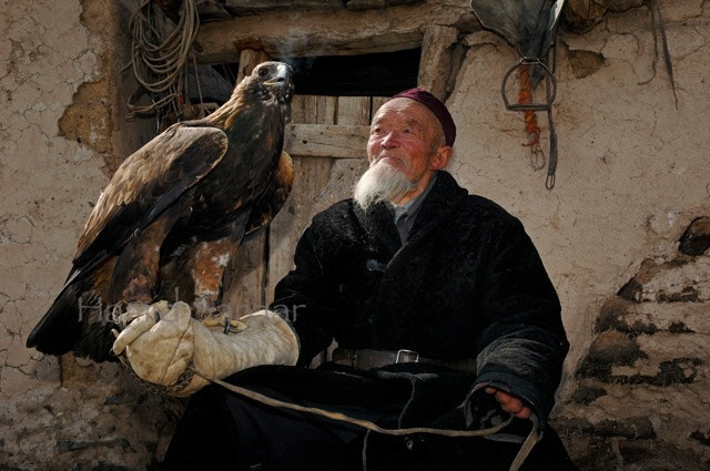 Sống cùng động vật hoang dã.