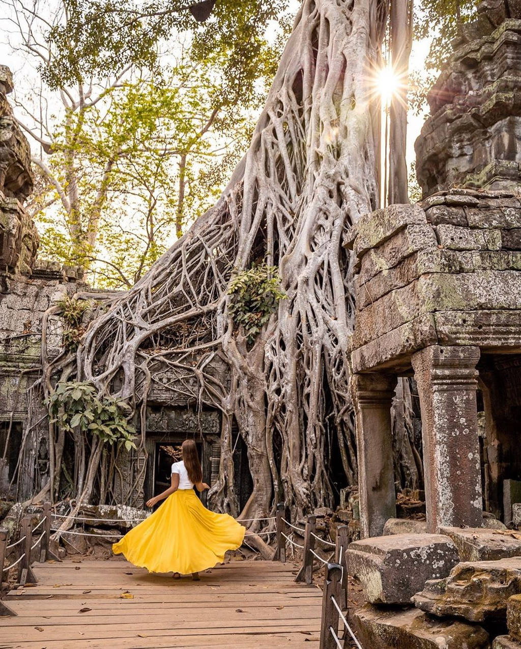 Rễ cây đâm xuyên qua vết nứt bức tường hoặc mái của tòa tháp cổ tạo thành cảnh quan hiếm có. Ta Prohm được xây dựng từ năm 1186. Jayavarman VII, vua của đế chế Khmer, thể hiện tham vọng về một quần thể đền lớn bên trong Angkor.