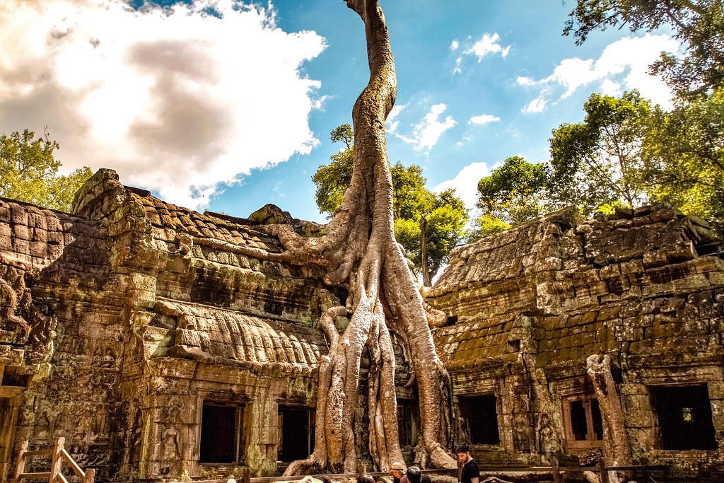 Campuchia không chỉ nổi tiếng với hình ảnh một Angkor Wat đồ sộ mà còn có ngôi đền Ta Prohm kỳ bí thu hút các nhà thám hiểm từ khắp thế giới. Ta Prohm nằm trong quần thể di tích Angkor Thom, nơi du khách được chiêm ngưỡng hình ảnh bộ rễ cây khổng lồ, ngoằn ngoèo "nuốt trọn" ngôi đền bên dưới. Đây được coi biểu tượng quyền lực của thiên nhiên. Ảnh: Flickr.