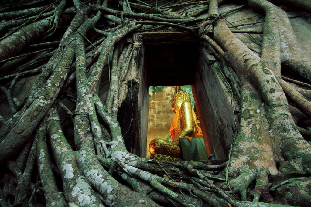 Wat Bang Kung nằm ở Samut Songkhram, được xây dựng vào thời kỳ Ayutthaya. Đây là một trong những di tích lịch sử và và văn hóa được người dân địa phương giữ gìn. Ảnh: Tourism Authority of Thailand.