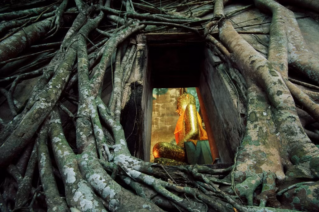 Wat Bang Kung nằm ở Samut Songkhram, được xây dựng vào thời kỳ Ayutthaya. Đây là một trong những di tích lịch sử và và văn hóa được người dân địa phương giữ gìn. Ảnh: Tourism Authority of Thailand.