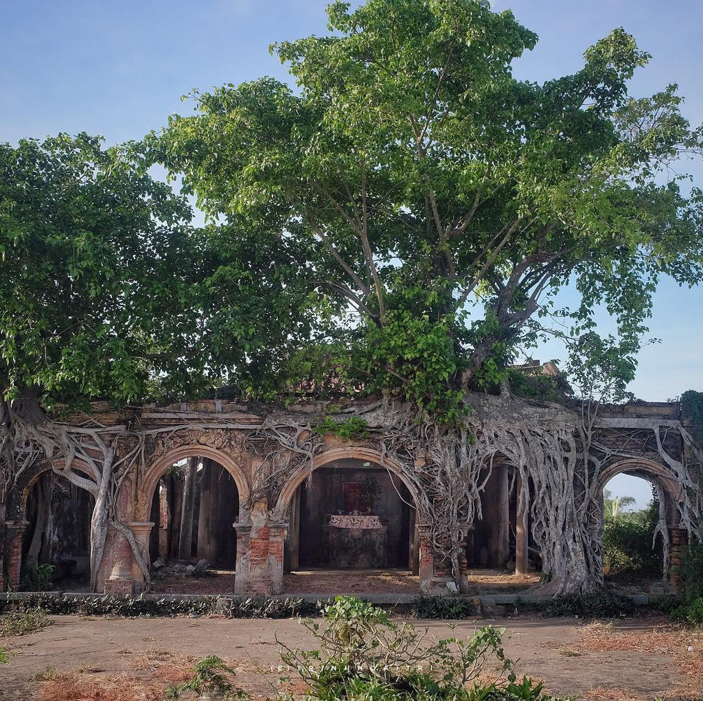 Ngôi đình Tân Đông (Việt Nam) hơn 100 tuổi tọa lạc giữa cánh đồng mênh mông, cỏ lấp chân người ở huyện Gò Công Đông, Tiền Giang. Dù bên trong nhiều di vật hư hỏng, ngôi đình vẫn đứng vững qua năm tháng nhờ sự nâng đỡ của 2 cây bồ đề mọc trên mái. Rễ cây vươn bám vào tường rồi đâm sâu xuống đất. Người dân nơi đây coi ngôi đình như báu vật, chốn linh thiêng. Ảnh: Trinhhoaitri.