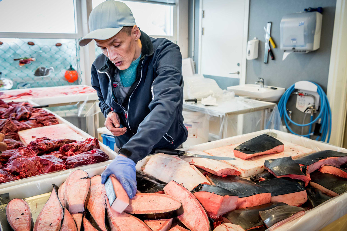 Đối với người Eskimo, cá tuyết, cá hồi, hải cẩu, tuần lộc, một số loài chim xứ lạnh là nguồn thực phẩm chính cho cả gia đình. Ở vùng đất quanh năm băng giá này, người dân không trồng trọt được gì. Họ sinh sống chủ yếu bằng nghề săn bắt. Ảnh: Adventure.