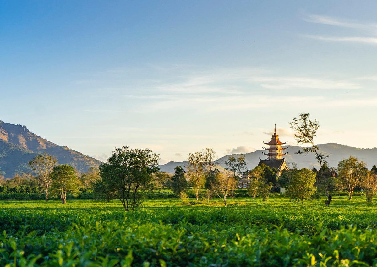Biển Hồ Chè là địa điểm nổi tiếng ở huyện Chư Păh. Góp thêm điểm nhấn cho nơi đây còn có chùa Bửu Minh nổi tiếng với tầng mái cong vút thanh thoát, ẩn hiện trong sương sớm. Ảnh: Phạm Quý.