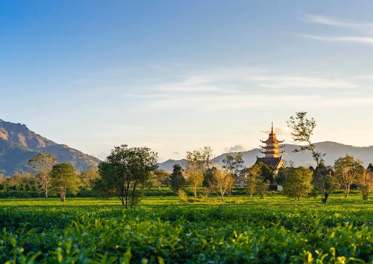 Biển Hồ Chè là địa điểm nổi tiếng ở huyện Chư Păh. Góp thêm điểm nhấn cho nơi đây còn có chùa Bửu Minh nổi tiếng với tầng mái cong vút thanh thoát, ẩn hiện trong sương sớm. Ảnh: Phạm Quý.