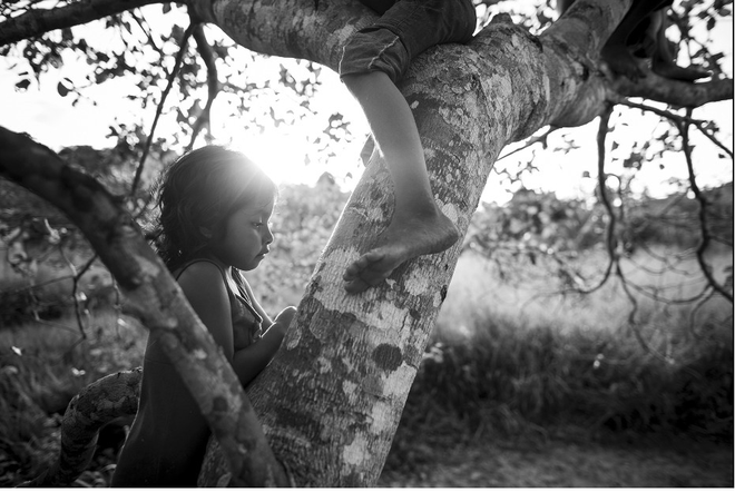 Cuộc sống của những đứa trẻ cũng hoang dại ngay từ tấm bé.