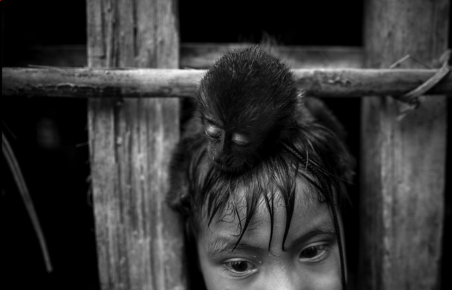 “Tôi đã đi du lịch châu Phi và nhiều nơi xa xôi khác. Ít nhất ở đó, mọi người cũng biết tới máy ảnh. Nhưng ở nơi đây, người Awa chưa bao giờ nhìn thấy máy ảnh, máy tính hay vòi hoa sen. Họ tỏ ra kinh ngạc và hạnh phúc khi trông thấy một máy bay trực thăng”, nhiếp ảnh gia Rodrigues nói với CNN. Ông Rodrigues đã giao tiếp với những người trong bộ lạc qua các dấu hiệu bằng tay.