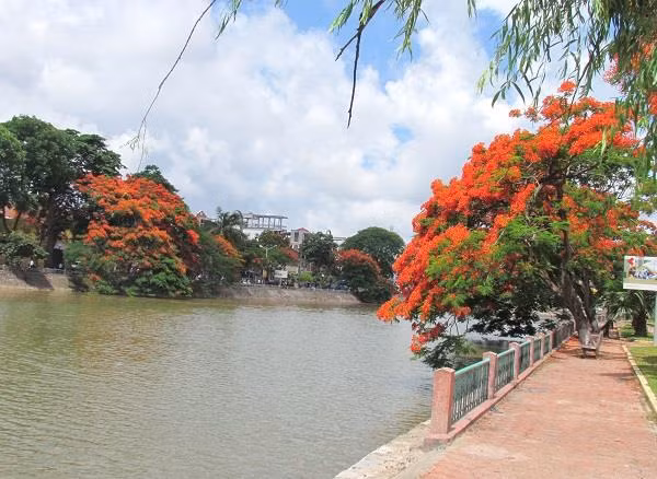 Theo sách giáo khoa Địa lý lớp 12, có diện tích tự nhiên 1.507,57 km2, Hải Phòng là thành phố lớn thứ 3 ở nước ta, xếp sau thủ đô Hà Nội và TP.HCM.