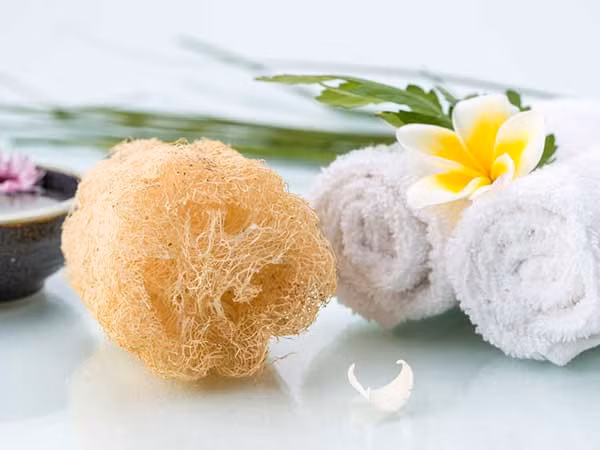  Thay bông tắm thường xuyên: Sau nhiều lần sử dụng, bông tắm sẽ chứa đầy vi khuẩn và tế bào chết. Nếu bạn tiếp tục sử dụng bông tắm cũ, bạn rất dễ bị viêm da hoặc dị ứng. Do đó, hãy thay bông tắm sau vài tháng sử dụng.