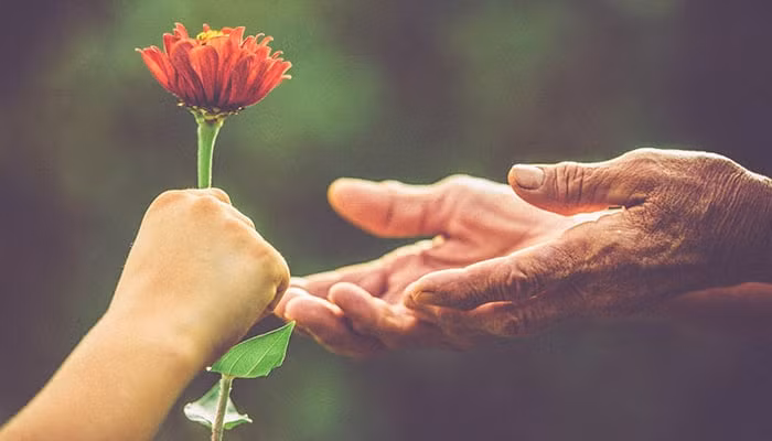 Người sinh ngày Âm lịch này sống lương thiện, hậu vận hưởng sung túc - Hình 3 Nguoi sinh ngay Am lich nay song luong thien, hau van huong sung tuc-Hinh-3