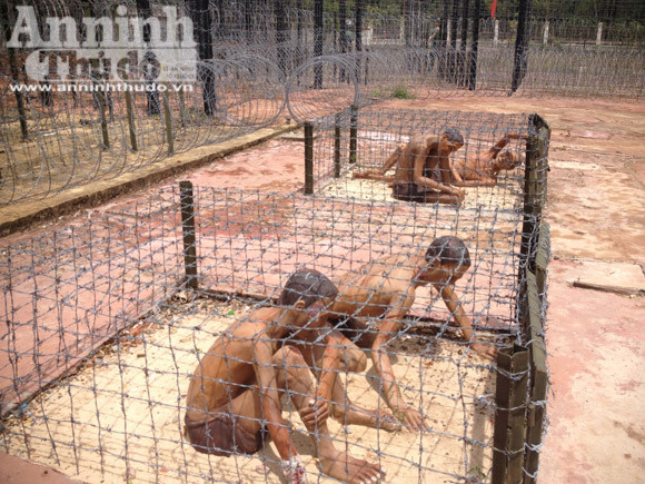 Theo mô tả tại Nhà tù Phú Quốc: Chuồng cọp kẽm gai là một trong những sáng chế dã man nhất mà Mỹ-Nguỵ đã dùng để hành hạ, tra tấn tù binh tại nhà tù Phú Quốc mà chúng gọi là chuồng cọp. Phân khu nào cúng có 2-3 cái. Chuồng cọp kẽm gai được tạo ra bằng cách đan chằng chịt dây kẽm gai xung quanh và trên nóc. Có nhiều loại với kích thước khác nhau, có loại chúng nhốt một người, có loại chúng nhốt 5-6 người. Có loại người tù binh phải nằm dưới đất, cát; có loại người tù binh phải nằm trên dây kẽm gai. Có loại chỉ ngồi mà không nằm được, có loại chỉ đứng lom khom, có loại chỉ ngồi lom khom. Tất cả các loại chuồng cọp này, chỉ cần người tù nhúc nhích thay đổi tư thế là bị kẽm gai đâm vào cơ thể. Ảnh: Giữa trời nắng hoặc đêm lạnh, những tù binh bịt lột trần chỉ có thể ngồi khom. Khi mỏi quá thẳng người lên là bị kẽm gai chọc thẳng vào đầu.