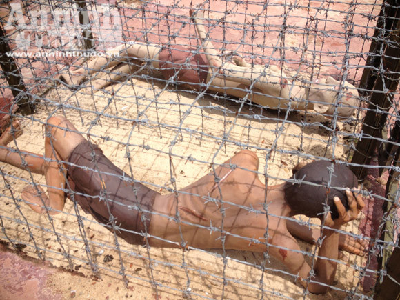 Tất cả các chuồng cọp đều được để ngoài trời. Tù nhân khi bị phạt nhốt vào chuồng cọp sẽ bị bọn giám thị bắt cởi hết quần áo, chỉ cho mặc một chiếc quần cụt để phơi nắng, mưa, sương gió suốt ngày đêm, mặc cho muỗi mòng hành hạ. Ở đây tù binh chỉ được ăn một ít cơm với muối hoặc không có muối phải ăn nhạt, mỗi ngày chỉ được 1-2 ca nước uống, phải đi tiêu, tiểu tại chỗ. Ảnh: Trong "chuồng cọp" này, tù binh chỉ có thể nằm, không ngồi được, cựa quậy thay đổi tư thế là bị kẽm gai đâm vào người toé máu.