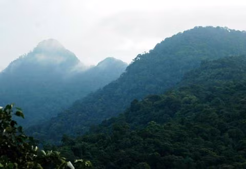 Ở phía Tây Bắc Hà Nội, vùng đất linh thiêng núi Ba Vì từ xưa đã được coi là một chốn địa linh nhân kiệt, nơi gắn liền với Tản Viên sơn thánh – người đứng đầu trong 4 vị thần bất tử (Tứ bất tử) của Việt Nam .