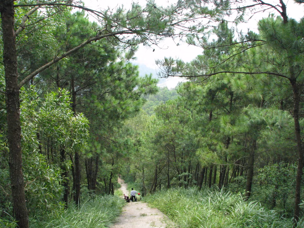 Từ dưới chân núi đi lên đến tượng đài Thánh Gióng ở trên đỉnh núi là con đường với hơn 1.000 bậc thang bằng đá đi dưới bóng thông râm mát rất thơ mộng.