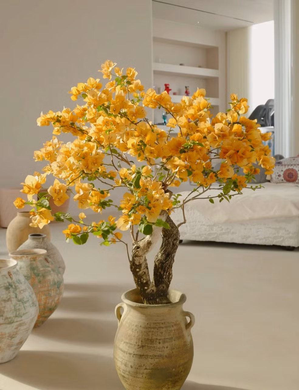 5 lưu ý phong thủy để cây cảnh không “trở mặt thành thù” - Hình 5 5 luu y phong thuy de cay canh khong “tro mat thanh thu”-Hinh-5