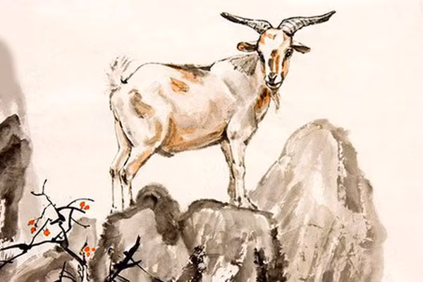 Về mặt tài chính, ngoài thu nhập chính, con giáp này cũng kiếm thêm tiền nhờ đầu tư kinh doanh, cổ phiếu. Điều quan trọng nhất là trong giai đoạn này, tâm lý tuổi Mùi sẽ trở nên tích cực và lạc quan hơn. Họ có thể giữ bình tĩnh khi gặp khó khăn và kỹ năng giải quyết vấn đề cũng được cải thiện. *Thông tin trong bài chỉ mang tính chiêm nghiệm, tham khảo