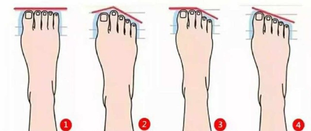  Tướng bàn chân có chiều dài các ngón xấp xỉ nhau: Những người bàn chân có đặc điểm dễ nhận là các ngón chân có độ cao xấp xỉ nhau, theo các nhà nhân tướng học dự đoán đó là người có khát vọng, năng lực tốt, nhưng háo thắng. Vì vậy con đường quan lộ khá hanh thông, nhưng tình cảm vợ chồng khó trọn vẹn. 