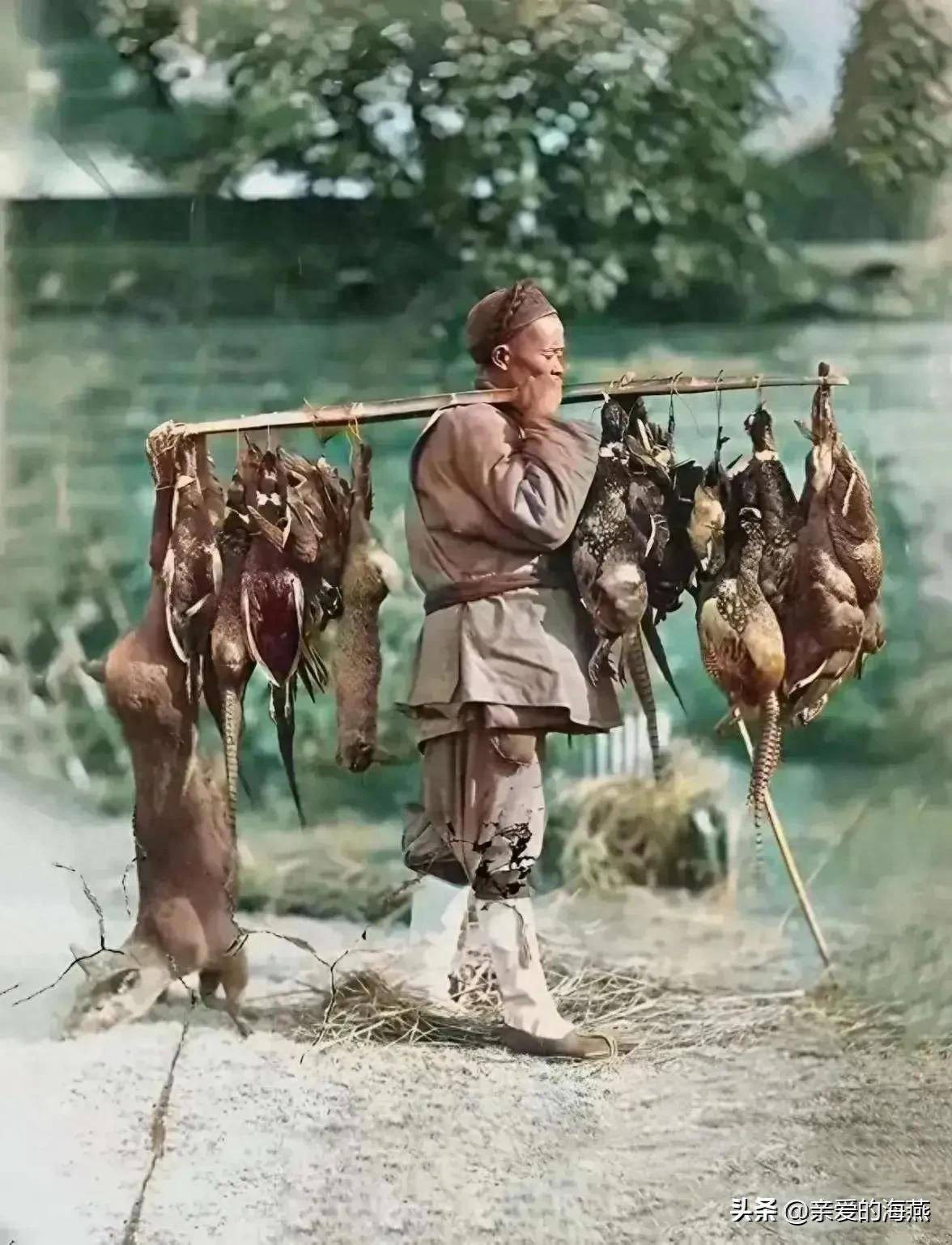 Một người thợ săn ở Phúc Châu, thuộc tỉnh Phúc Kiến (Trung Quốc) trên đường đi săn về. Có vẻ như chuyến đi săn của người này thu được nhiều chiến lợi phẩm. Người thợ săn vác trên vai nhiều con vật săn bắt được như con hươu, gà lôi, thỏ rừng…