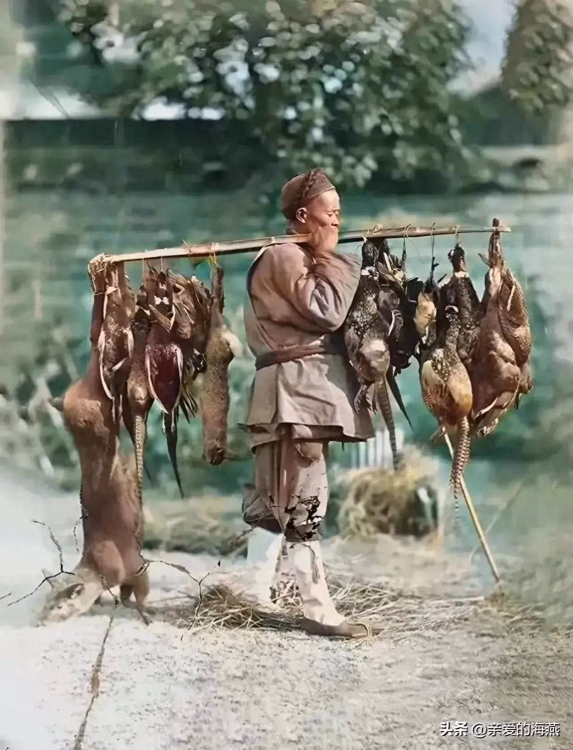 Một người thợ săn ở Phúc Châu, thuộc tỉnh Phúc Kiến (Trung Quốc) trên đường đi săn về. Có vẻ như chuyến đi săn của người này thu được nhiều chiến lợi phẩm. Người thợ săn vác trên vai nhiều con vật săn bắt được như con hươu, gà lôi, thỏ rừng…