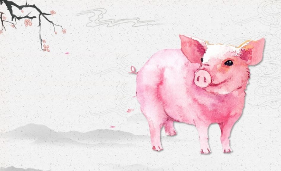  Những cơ hội này không chỉ giúp người tuổi Hợi đạt được những bước đột phá lớn hơn trong sự nghiệp mà còn giúp họ có thêm tình bạn và tình yêu trong cuộc sống. Tuy nhiên, người tuổi Hợi cũng phải học cách kiên trì, chăm chỉ và theo đuổi mọi ước mơ với nhịp độ vững chắc hơn. (Theo Sina) * Thông tin trong bài mang tính tham khảo, chiêm nghiệm.