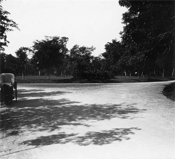 Thuở sơ khai, vườn có diện tích trên 33 ha