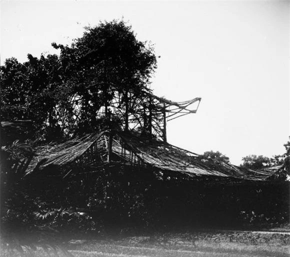 Khu nhà kính của vườn Bách Thảo. Khu vườn được thành lập năm 1890, quanh một hồ nước đẹp đã có từ lâu đời.